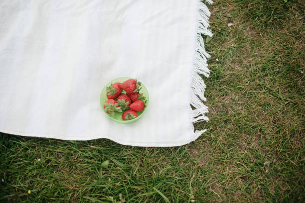 Bowl with strawberries on a picnic blanket