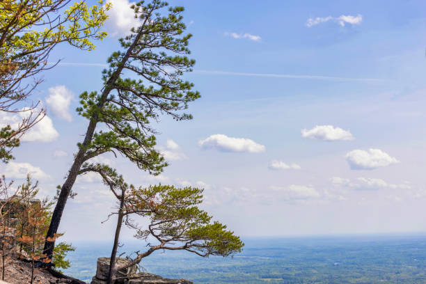 istock Pilot Mountain State park in North Carolina 1400441328