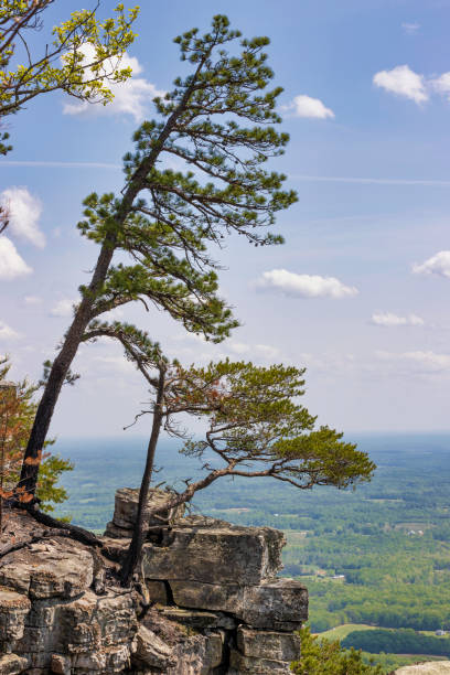 istock Pilot Mountain State park in North Carolina 1400441329