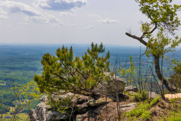 istock Pilot Mountain State park in North Carolina 1400442718