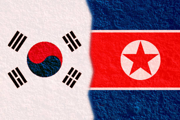 Flag of South Korea and North Korea painted on a concrete wall with a crack Flag of South Korea and North Korea аналитика мировых событий stock pictures, royalty-free photos & images