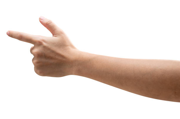 istock Woman hand touching or pointing to something isolated on white background. 1400444910