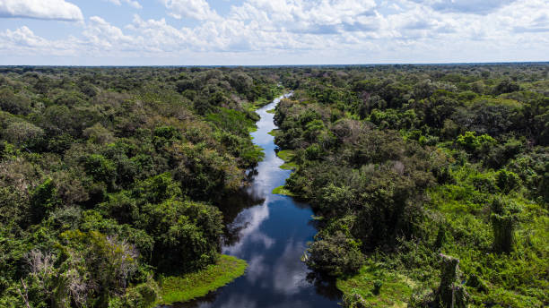 drone view of river in pantanal, brazil - meander stockfoto's en -beelden