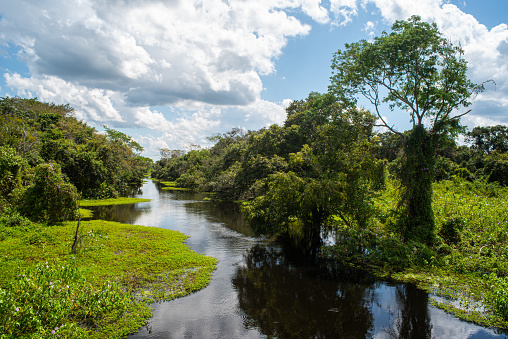 River in Pantanal, Brazil