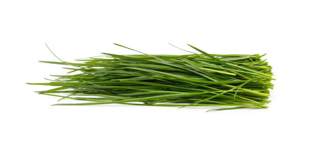 istock Bunch of green grass. 1400444988