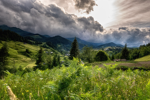 Summer in the Carpathian mountains. Scenic view of the green alpine meadow with fresh grass, mountain range and dramatic stormy sky with clouds, beautiful landscape, outdoor travel background