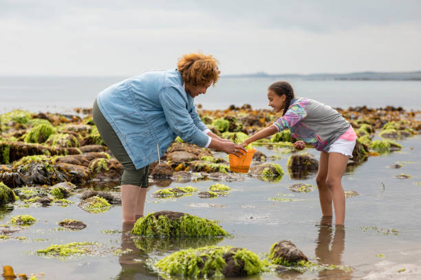istock Spending the Day With Grandma 1400447173