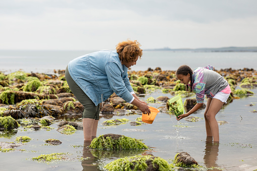 A young girl and her grandmother spending the day together at Beadnell beach, North East England. They are using a bucket and fishing net to catch wildlife in the sea. The woman is holding out a bucket out for her granddaughter.