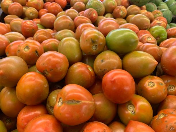 istock pile of tomatoes 1400448135