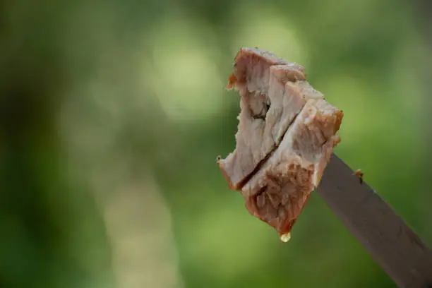 Photo of fried pork skewers on a knife on a green background in the forest, fried skewers, meat