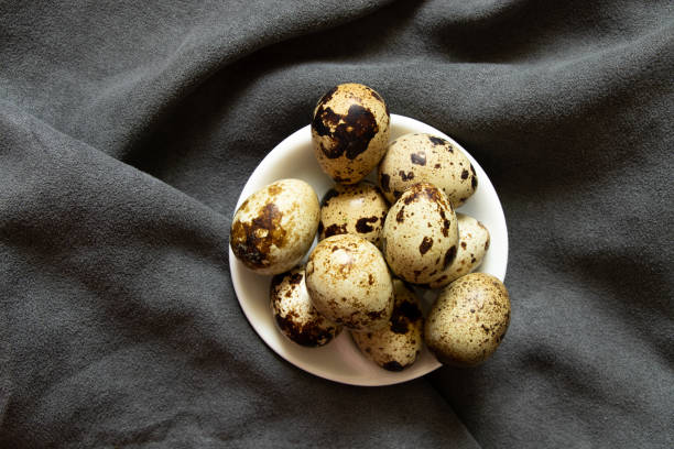 istock quail eggs close up on a gray background, quail eggs macro photo 1400448171