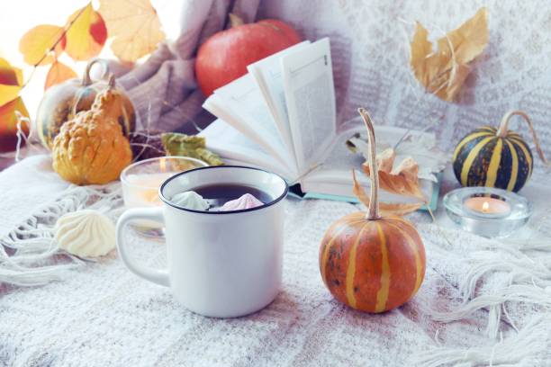 kürbisse, eine tasse kaffee, herbstlaub, brennende kerzen und ein offenes buch auf der fensterbank vor dem hintergrund einer wolldecke - fire thanksgiving leaf burning stock-fotos und bilder