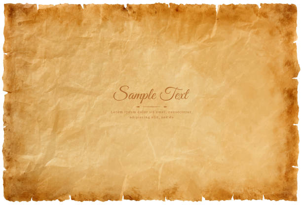 Vector old parchment paper sheet vintage aged or texture isolated on white background Vector old parchment paper sheet vintage aged or texture isolated on white background. treasure map texture stock illustrations