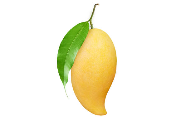istock Ripe Mango with green leaf isolated on white background. Clipping path. 1400453203