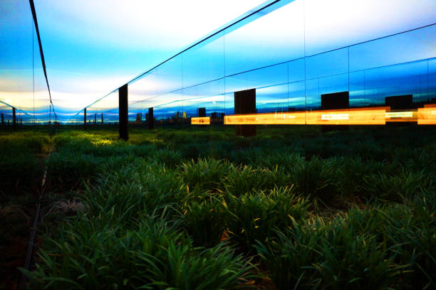 Mirror Garden Mirror Garden venice biennale stock pictures, royalty-free photos & images