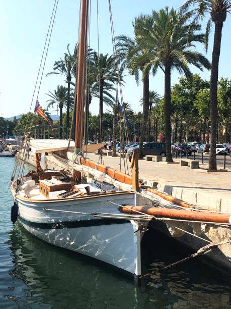 パルマ港 - majorca yacht marina palma ストックフォトと画像