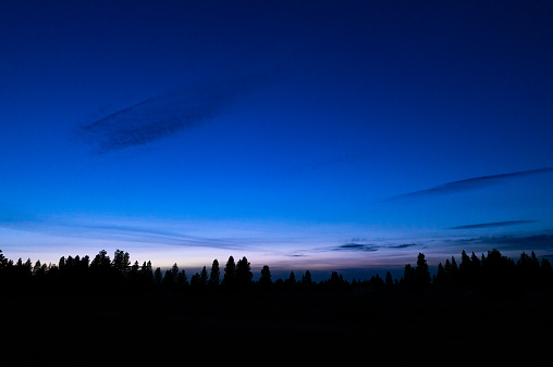 blue hour sky over Modoc National forest California in Tionesta, California, United States