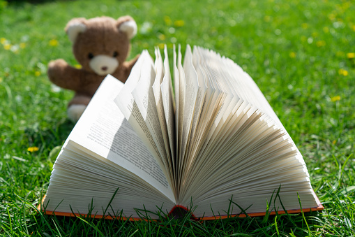 Open book on green grass, little teddy bear in the background. Education kids concept. Fantasy or fairy tale book.