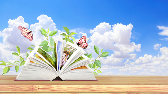 Book of nature. Horizontal banner with book open, green leaves and two butterflies on wood table. Knowledge, education, ecology and environment concept. Copy space for text