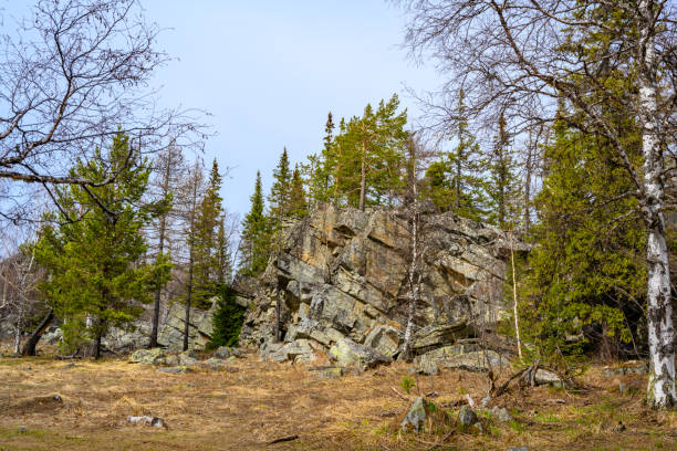 South Ural Mountains with a unique landscape, vegetation and diversity of nature. South Ural Mountains with a unique landscape, vegetation and diversity of nature in spring. south ural stock pictures, royalty-free photos & images