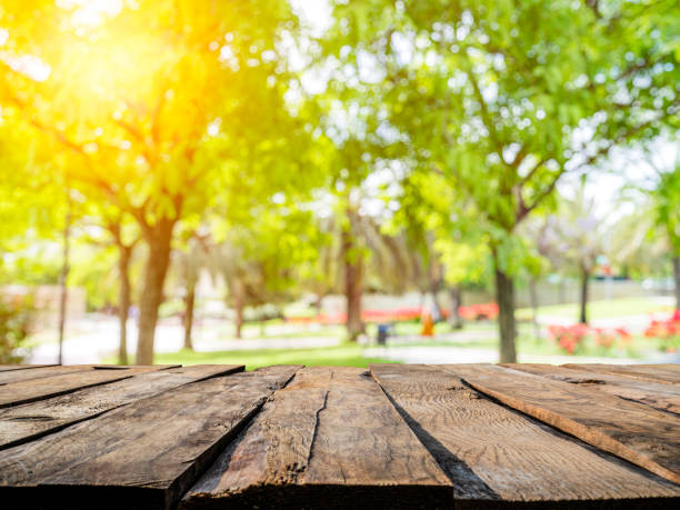 Empty wooden table with blurred trees background Empty rustic wooden table with defocused green and yellow lush foliage background. Ideal for product display on top of the table. Predominant color are green and brown. XXXL 47,5Mp outdoors photo taken with SONY A7rII and Zeiss Batis 40mm F2.0 CF picnic table stock pictures, royalty-free photos & images