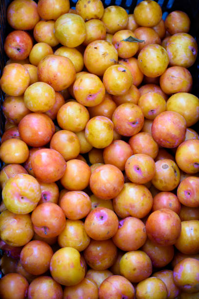 istock Fresh vegetables and fruits. 1400475636