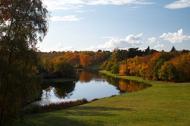 istock Lake at Painshill Park 140048230