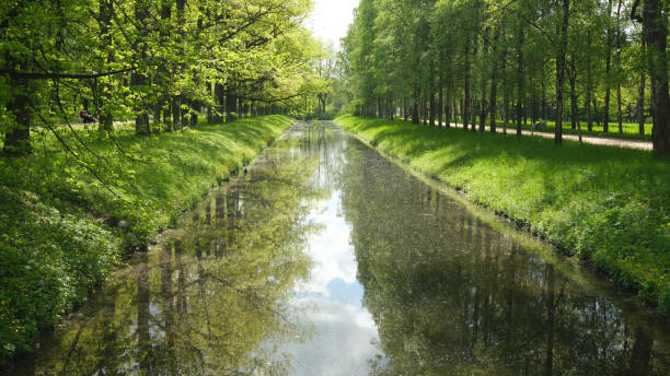 istock Old pond in the park. 1400486069