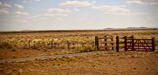 bienvenidos a la ranchita - cowboy blue meadow horizontal fotografías e imágenes de stock