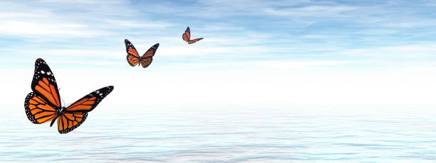 istock Butterflies flying to the horizon - 3D render 1400492039