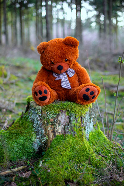 istock brown teddy bear sitting on tree stump in forest 1400492081