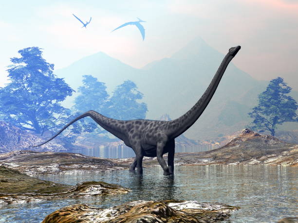 istock Diplodocus dinosaur walking peacefully in the water - 3D render 1400492104