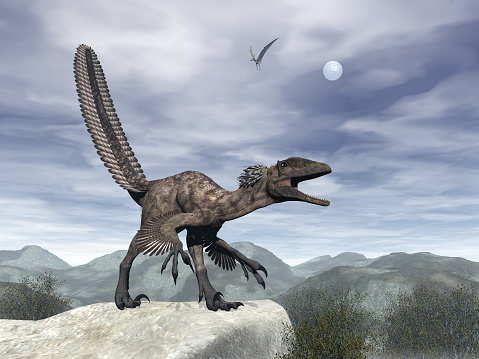 Deinonychus dinosaur roaring head up on a rock -3D render