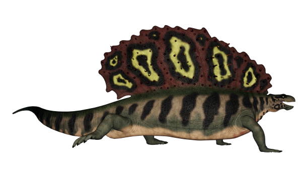 istock Edaphosaurus prehistoric animal running - 3D render 1400493216