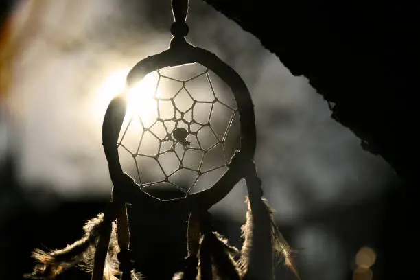 Photo of Silhouette Dreamcatcher