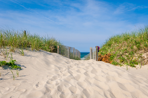 Panorama beach and dunes baltic sea