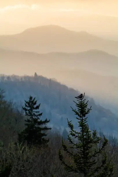 Photo of Sunrise at Newfound Gap, Great Smoky Mountains National Park