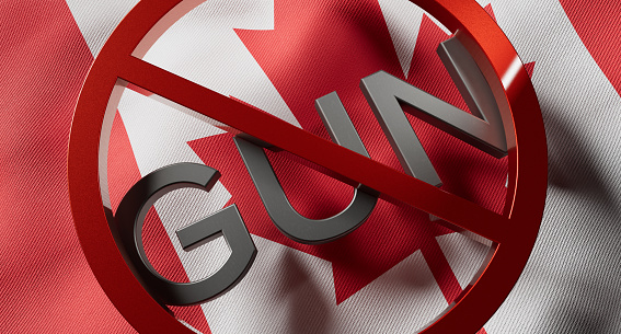 Government Gun Ban Law, Gun Sales and Ownership, Gun Control