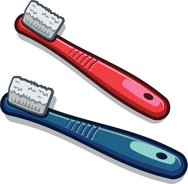 Toothbrush vector art illustration