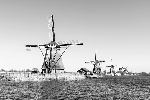 A collection of 18th Century traditional Dutch windmills, at Kinderdijk in South Holland. Black and white picture