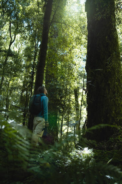 istock Man staring at a huge tree with his camera on hand. 1400506939