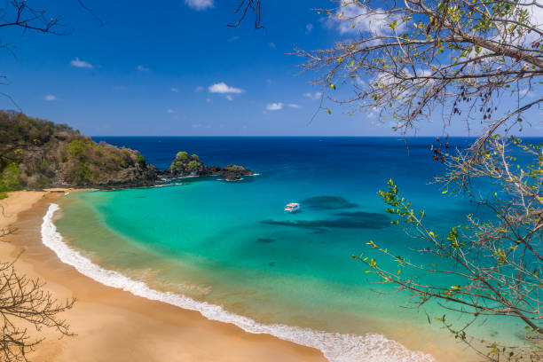istock Fernando de Noronha, Sancho bay beach, Pernambuco, Brazil on December 14, 2021 1400508692