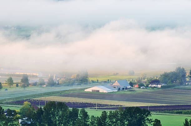 Fraser Valley w foggy sunrise – zdjęcie