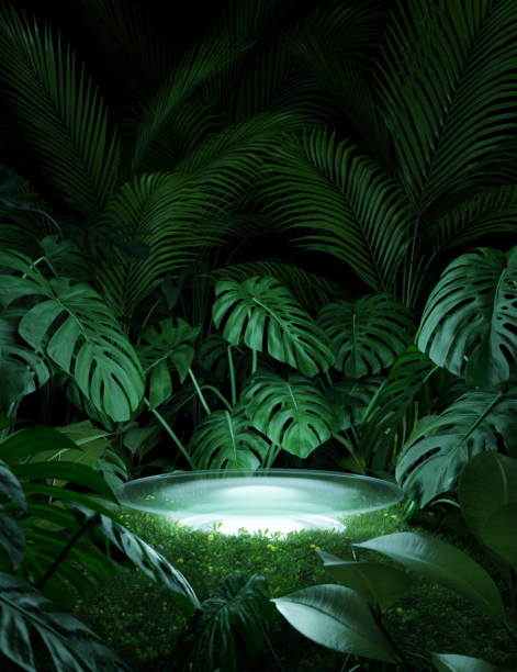 display illuminato da banco o podio da palco con piante verdi - tropical rainforest forest green abstract foto e immagini stock