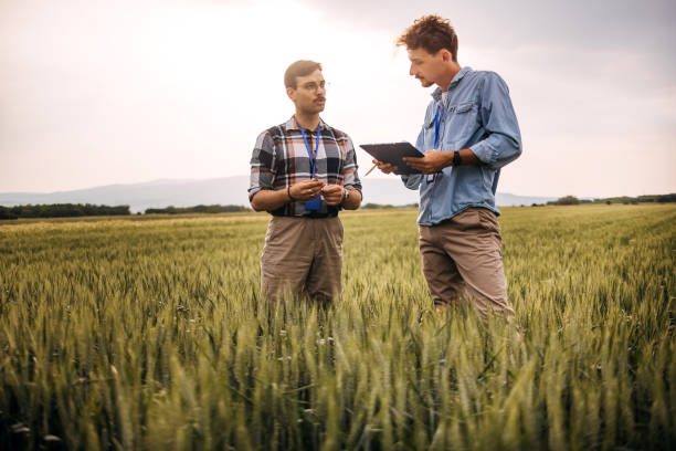 istock Agronomist with farmer at field 1400517105