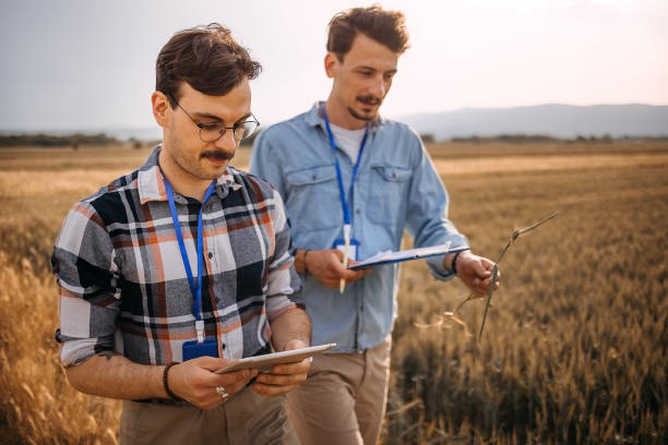 istock Man controls the crops and conditions for growing corn. 1400517189