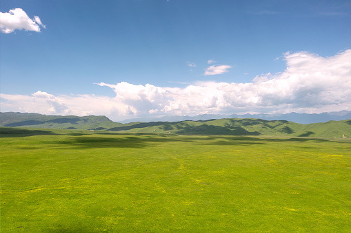 Nalati grassland with the blue sky. Shot in Xinjiang, China.