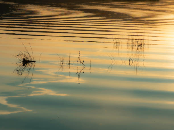 istock Ripples in lake at sunset 1400525348