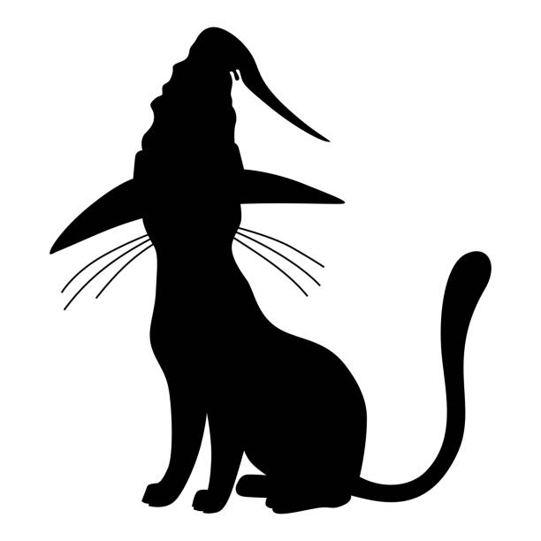 ilustrações, clipart, desenhos animados e ícones de silhueta de gato de halloween em um chapéu - silhouette animal black domestic cat