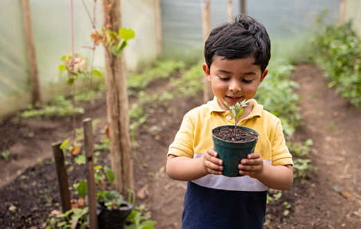 Sweet Latin American boy holding a small tree to plant in their home garden - environmental conservation concepts